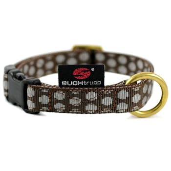 Hundehalsband Vibration Mit Fernbedienung B2B-Showroom | wlw Hundehalsband Vibration Mit Fernbedienung B2B-Showroom | wlw