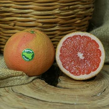 Grapefruit Ruby Star Ruby Grapefruit — selection | Europages