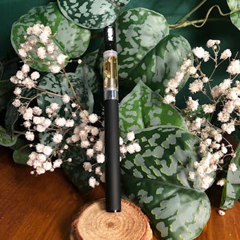 hhc. vape 100 Lsungen fr Ihr Unternehmen | wlw hhc. vape 100 Lsungen fr Ihr Unternehmen | wlw