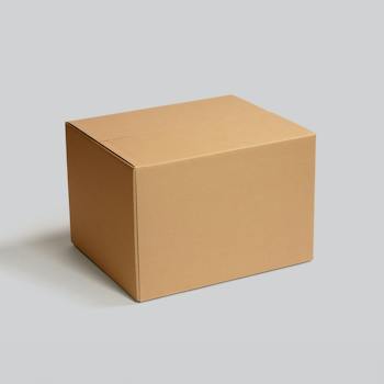 Aufbewahrungsbox mit Deckel Pappe Tedi — Auswahl