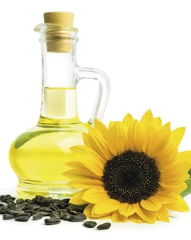 sonnenblumen l Hochwertige B2B-Produkte | wlw sonnenblumen l Hochwertige B2B-Produkte | wlw