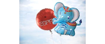 Tedi Ballons Zahlen – Qualitätsprodukte