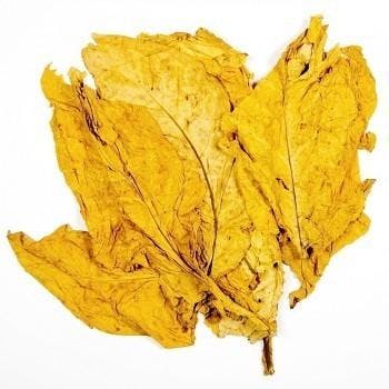 Tagliabacco per tagliare foglie di tabacco o erbe, larghezza Tagliabacco per tagliare foglie di tabacco o erbe, larghezza