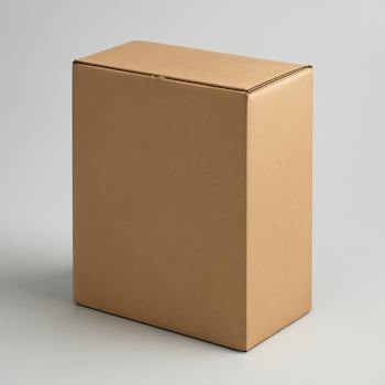 faltbox karton mit deckel vom Großhändler in Deutschland