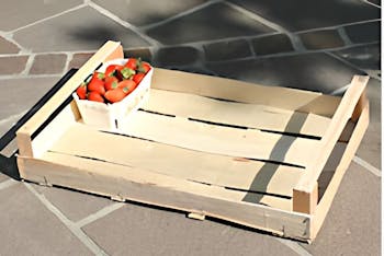 Obstkisten Holz günstig kaufen — Auswahl