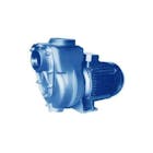 Bombas eléctricas y motobombas autoaspirantes con impulsor abierto (RA) o cerrado (RC) - Bombas de superficie de hierro fundido