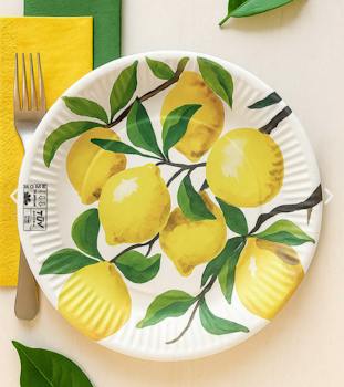 Pizzateller 40 cm IKEA — Auswahl
