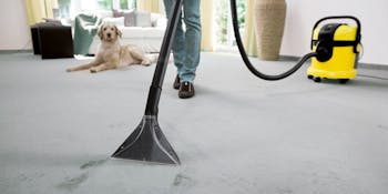 sapur teppichreiniger rossmann – 100+ geprüfte Lösungen