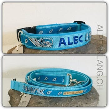 strom halsband hund 100 geprfte Lsungen | wlw strom halsband hund 100 geprfte Lsungen | wlw