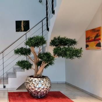 Bonsai künstlich — Auswahl