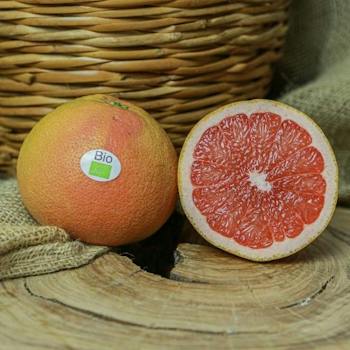 Grapefruit Ruby Star Ruby Grapefruit — selection | Europages