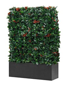 Künstliche Hecke Sichtschutz 180 — Auswahl