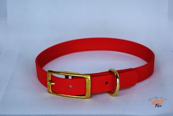 Hundehalsband Vibration Mit Fernbedienung B2B-Showroom | wlw Hundehalsband Vibration Mit Fernbedienung B2B-Showroom | wlw
