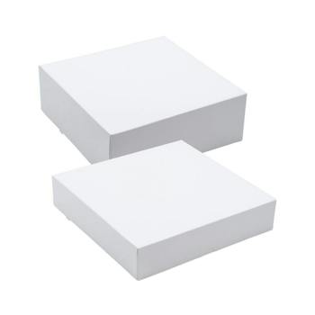 Pastetenkiste (42.5×25.5×9.5) – Kiste 50 Stk