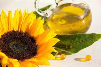 sonnenblumen l Hochwertige B2B-Produkte | wlw sonnenblumen l Hochwertige B2B-Produkte | wlw