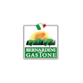 BERNARDINI GASTONE SRL