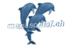 megaschlaf__wasserbetten_logo megaschlaf__wasserbetten_logo