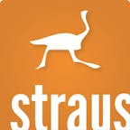 straus_gmbh_logo straus_gmbh_logo