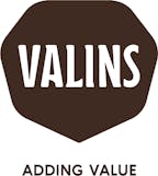 valins_gmbh_logo valins_gmbh_logo