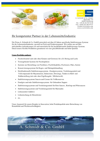 a._schmidt_&_co_gmbh_katalog