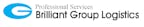 brilliant_logistics_international_gmbh_logo brilliant_logistics_international_gmbh_logo