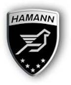 hamann_gmbh_logo hamann_gmbh_logo