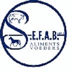 sefab_logo sefab_logo