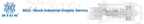bigs-bluck_industrial_graphic_service_logo bigs-bluck_industrial_graphic_service_logo