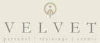 velvet_i_agentur_gmbh_logo velvet_i_agentur_gmbh_logo