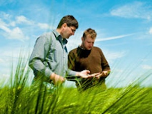 k+s_minerals_and_agriculture_gmbh_firmenpräsentation_3_Landwirtschaftliche Forschung /Beratung