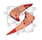 zogall_steuerberatungs_gmbh_logo zogall_steuerberatungs_gmbh_logo