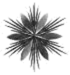 gertrud_kimmerle_e.k._inh._dorothea_kimmerle_logo gertrud_kimmerle_e.k._inh._dorothea_kimmerle_logo