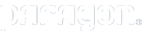 paragon_gmbh_&_co._kgaa_logo paragon_gmbh_&_co._kgaa_logo