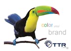 kurz_typofol_gmbh_logo kurz_typofol_gmbh_logo