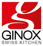 ginox_sa_logo ginox_sa_logo