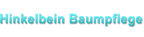 sascha_hinkelbein_logo sascha_hinkelbein_logo