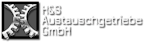 h&s_austauschgetriebe_gmbh_logo h&s_austauschgetriebe_gmbh_logo