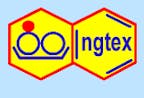ngtex_inh._thomas_paulini_logo ngtex_inh._thomas_paulini_logo