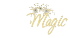 pyro-magic_feuerwerke_logo pyro-magic_feuerwerke_logo