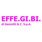 effe.gi.bi._di_gazzotti_&_c._spa_logo effe.gi.bi._di_gazzotti_&_c._spa_logo