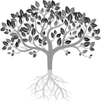 wirtschaftstreuhänder_mag._bernhard_siess_steuerberater_logo wirtschaftstreuhänder_mag._bernhard_siess_steuerberater_logo