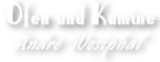 öfen_&_kamine_westphal_logo öfen_&_kamine_westphal_logo