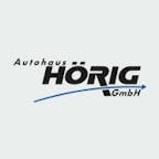 autohaus_hörig_gmbh_logo autohaus_hörig_gmbh_logo