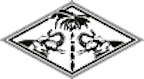 hotcoconut_kokoskohle_inh._sven_noack_logo hotcoconut_kokoskohle_inh._sven_noack_logo