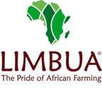 limbua_deutschland_gmbh_logo limbua_deutschland_gmbh_logo
