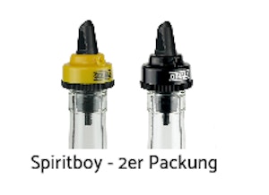 girlinger_&_co_ges.m.b.h_firmenpräsentation_4_Spiritboy