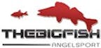 rodorff_&_goldin_gbr_logo rodorff_&_goldin_gbr_logo