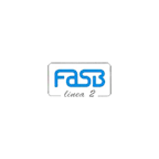 fasb_linea_2_srl_logo fasb_linea_2_srl_logo