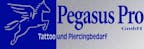 pegasus_pro_gmbh_logo pegasus_pro_gmbh_logo