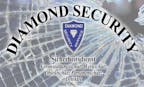 Logo von diamond-security.ch GmbH